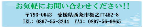 お気軽にお問い合わせください